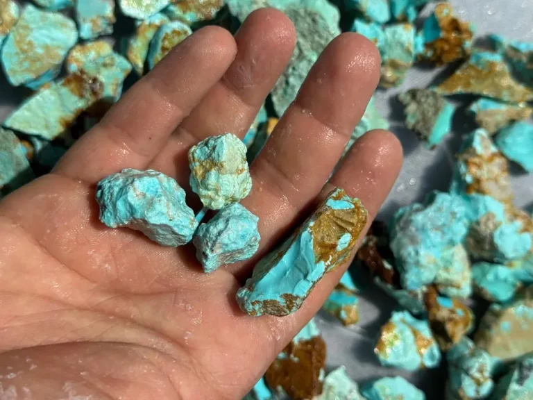 Natural Damghan rough turquoise stones in hand with vivid Persian blue color